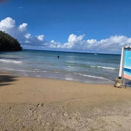 Coral Breeze Guest House